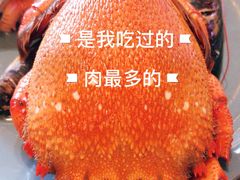 螃蟹-喜庭海鲜自助(来福士店)