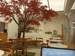 -艾薯夫妇Aysh(福田星河COCOPark店)