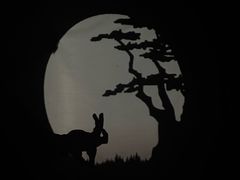 -盖碗儿梨园·变脸吐火·川剧(天府广场店)