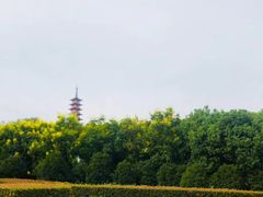 -太湖湖滨国家湿地公园-停车场