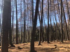 -硗碛藏寨·神木垒景区