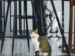 -蓝天射箭馆·专业射箭运动(诚丰广场店)