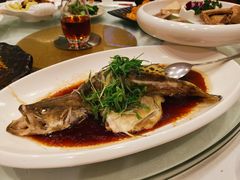 清蒸多宝鱼-岭南海晏楼(滨江东总店)