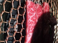 -农乐园炭火烤肉(世茂店)