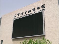 -辽宁古生物博物馆