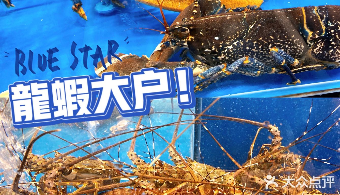 五一好去处🔴巨型金刚‼️0元实现海鲜自由
