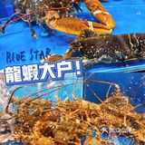 五一好去处🔴巨型金刚‼️0元实现海鲜自由