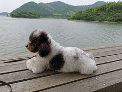-宁波九龙湖开元度假村