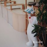 这个⭕️我喜欢
