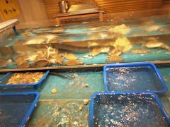 -盛宴自助餐厅(运达喜来登店)