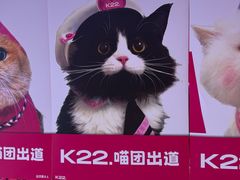 -K22.酸奶草莓(烟台芝罘店)