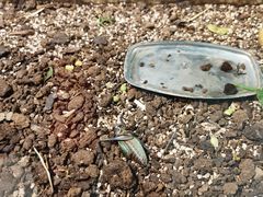 -上海昆虫博物馆