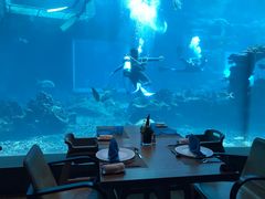-海棠湾洲际-涛·海底餐厅·美人鱼·自助餐·海底隧道