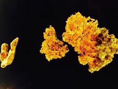 -疏芬山金矿