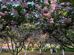 -白塘生态植物园