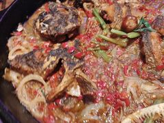 -老板恋上鱼(恒隆广场店)