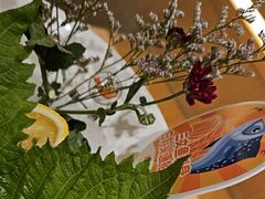 -新一番三文鱼寿司(大东海店)