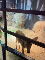 -酷嗒动物文化乐园(cutezoo西溪乐天城店)