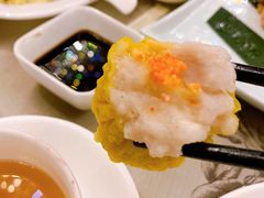-佛山顺德香云纱园林酒店(清晖园店)