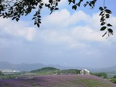 -密云玫瑰情园