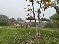 -北京野生动物园