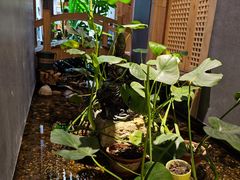 -邈墨茶馆(凤起路店)