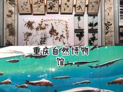 -重庆自然博物馆(新馆)