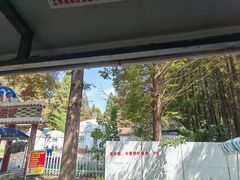 -日照海滨国家森林公园