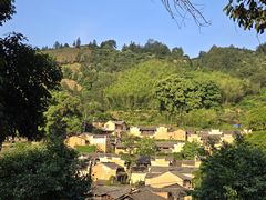 -杨家堂村