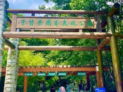 -牛背梁国家森林公园