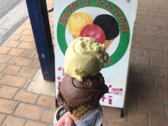 -Dooley's Premium Ice Cream