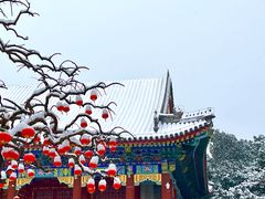 -颐和园