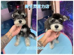 -FAELING PETS美天灵宠物(富力广场店)