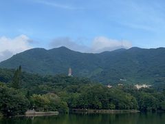 -深圳仙湖植物园