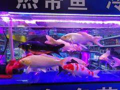 -三旗百汇商品城