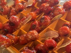 -喜悦烤鸭·新京菜(王府井店)