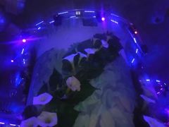 -兰剑驾校(汉阳校区)