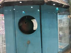 -龟与熊猫宠物公园(南坪店)