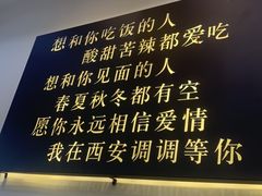 -西安调调(十全街店)