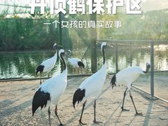 -盐城丹顶鹤湿地生态旅游区