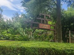 -云南民族村