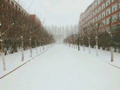 -东北师范大学(净月大街校区)