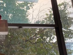 -老马家蒸饺(南海街店)