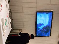 -阿五黄河大鲤鱼(海尚店)