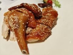 -点都德·毕德寮