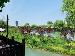 -乌镇景区