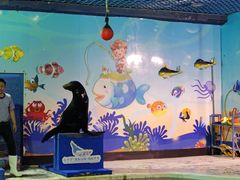 -太平洋海底世界