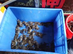 -马王堆海鲜水产市场