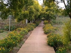 -紫颐香薰山谷景区