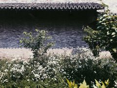 -韩湘水博园